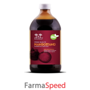 salugea succo mangostano bio