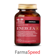 salugea energea+ 60 capsule