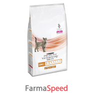 ppvd gatto om obesity man1,5kg