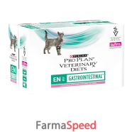 ppvd gatto mp en gastro salmon