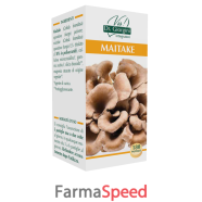 maitake 180past