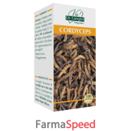 cordyceps 180past