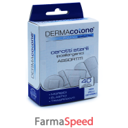 cerotto ipoallergenico dermacotone misure assortite 40 pezzi