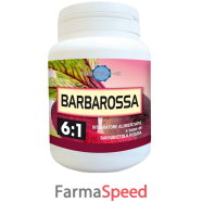 barbarossa 6:1 60cps