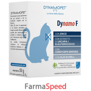 dynamo f gatti 20bust appetibi