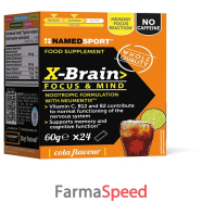 xbrain 24stick