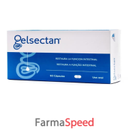 gelsectan 60 capsule