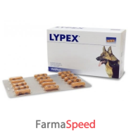 lypex 60 capsule