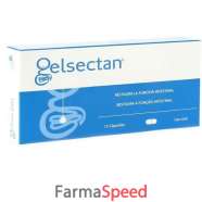 gelsectan 15 capsule