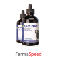 kaminox sciroppo 60ml