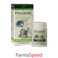 procandix 24cpr