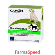 condrosalus 30cpr
