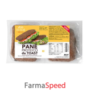 dlab pane toast proteico 260g