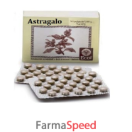 astragalo 50tav 500mg