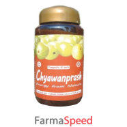 chyawanprash special 500g