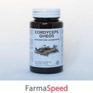 cordyceps gheos 90 capsule da 540 mg