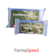 leniderm wipes pocket 40strapp