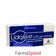 lidofast*gel uretrale 15 g 2,5%