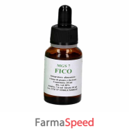 mgs7 fico macerato glicerico spg 20 ml