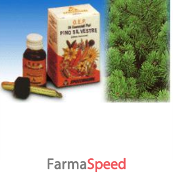 pino silv olio ess puro 10ml