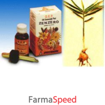 zenzero olio ess puro 10ml