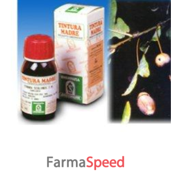 quercia mari 14 50ml tm
