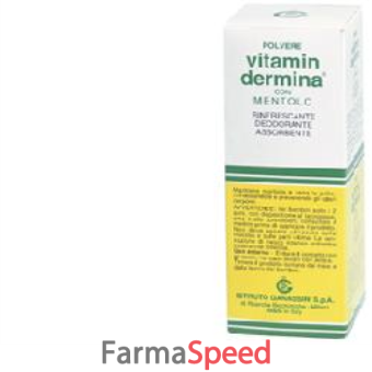 vitamindermina polvere ment 100 g
