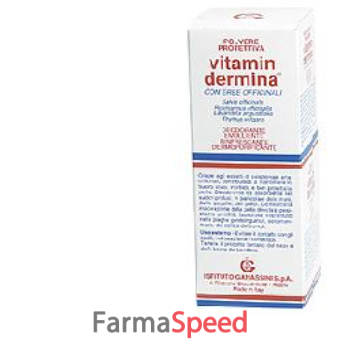 vitamindermina polvere prot 100g