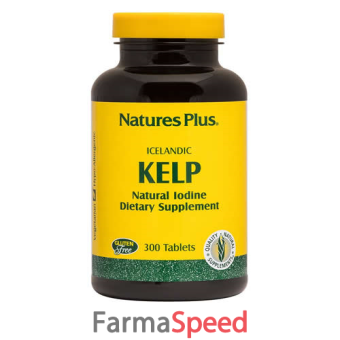 kelp alga marina 300 tavolette