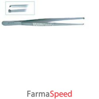 pinza chirurgica dente topo 16cm