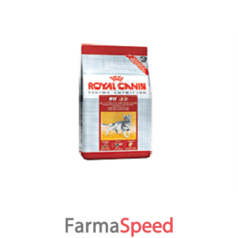 feline health nutrition regular fit 4 kg