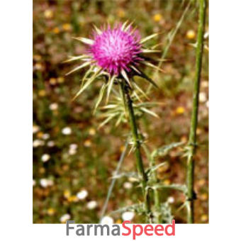 tsa sylibum marianum 50 ml