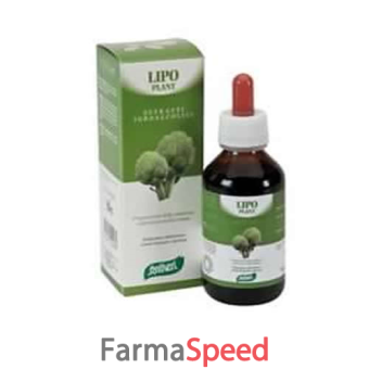 lipo plant