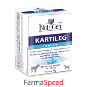 kartileg junior 60 tavolette