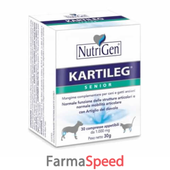 kartileg senior 120 tavolette