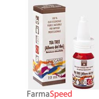 zuccari olio ess the albero10m