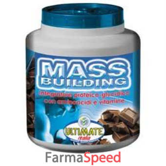 mass building fragola 1,8 kg 1 pezzo