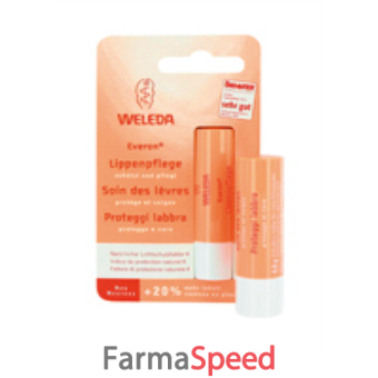 everon proteggi lab stick 4,8g