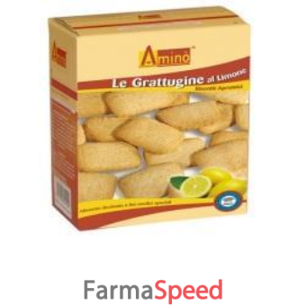amino le grattugine limone 200 g