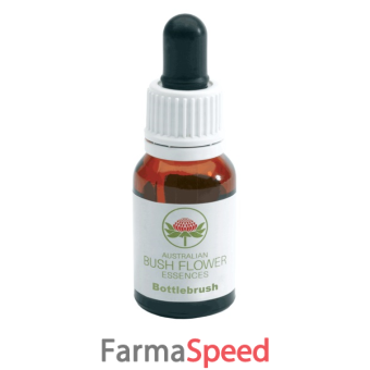 bottlebrush gocce 15 ml