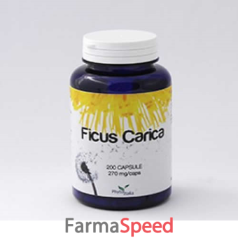 ficus carica 60 capsule