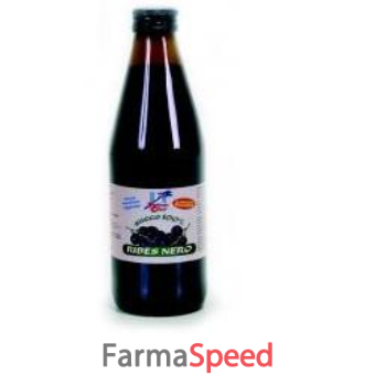 fsc succo di ribes nero bio senza zuccheri aggiunti 330 ml