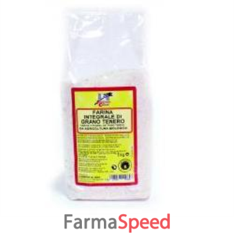 fsc farina integrale grano tenero bio 1 kg