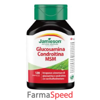 jameson glucosamina condroitina msm 120 compresse