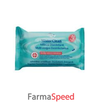 mister clean salviette disinfettanti aloe 10 pezzi