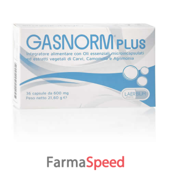 gasnorm plus 36 capsule