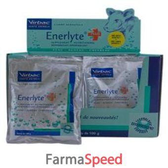 enerlyte plus scatola 24 buste da 100 g