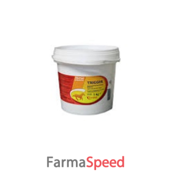 trigger fustello 1kg