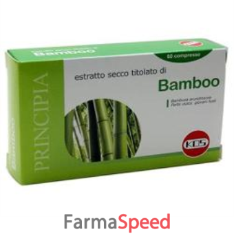 bamboo estratto secco 60 compresse