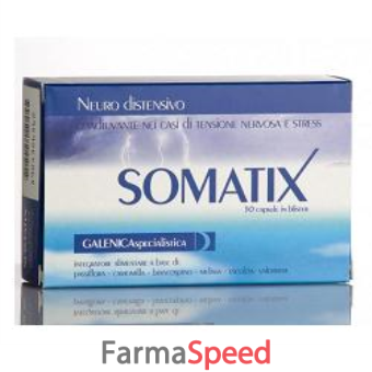 somatix 30 capsule